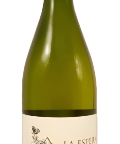 Chardonnay 2024, La Espera , Mendoza Argentina
