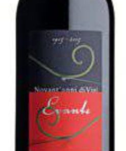 Merlot, Evante, 2020 By San Simone on Friuli